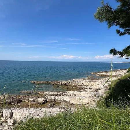 Carneol Holiday home Kaldanija